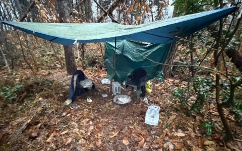 Controlli della Locale, smantellato un bivacco nei boschi