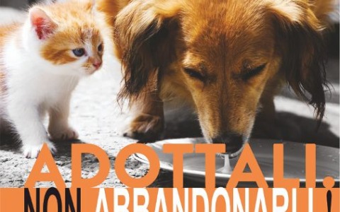 Il Comune aderisce alla campagna Lav “Adottali e non abbandonarli”