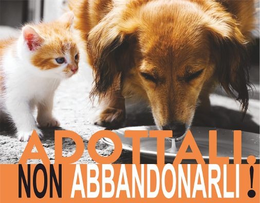 Il Comune aderisce alla campagna Lav “Adottali e non abbandonarli”