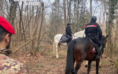 Carabinieri a cavallo nel Parco Pineta contro lo spaccio di droga