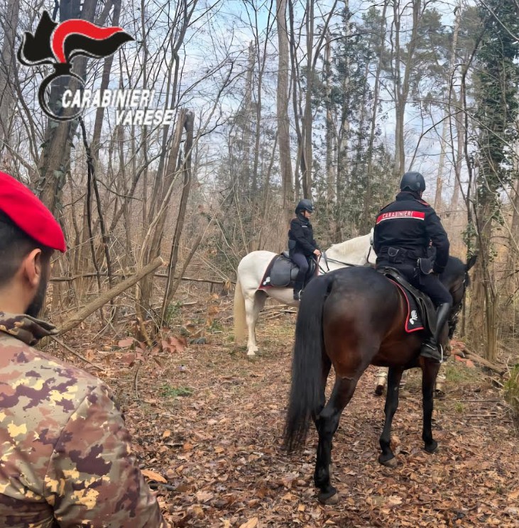 Carabinieri a cavallo nel Parco Pineta contro lo spaccio di droga