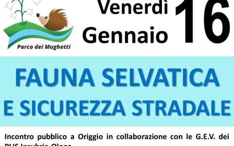 Fauna selvatica e sicurezza stradale