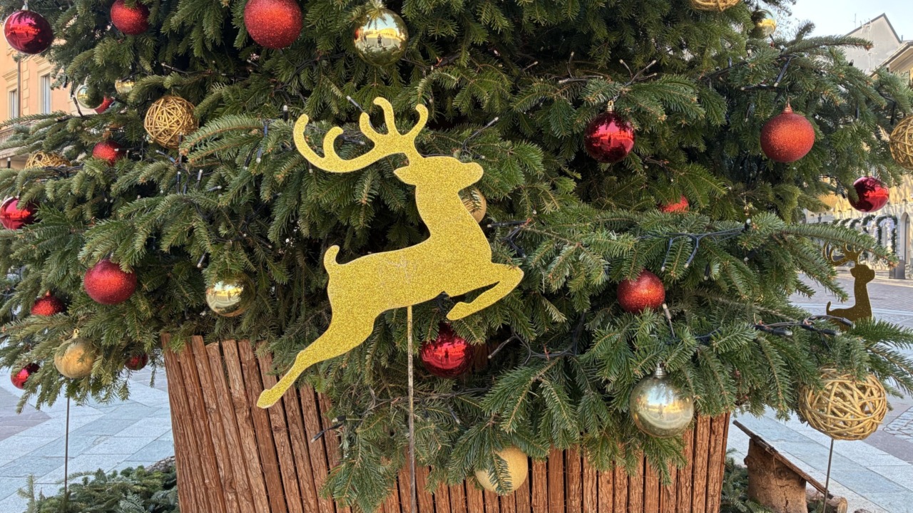 Concerto di Natale con il Lions Club Saronno Host Solidalia