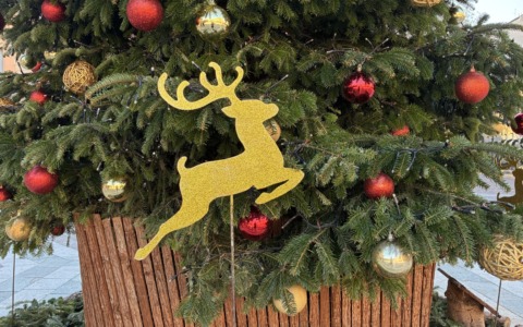 Concerto di Natale con il Lions Club Saronno Host Solidalia