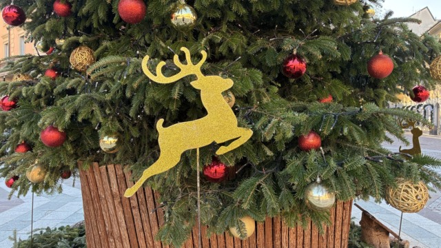 Concerto di Natale con il Lions Club Saronno Host Solidalia