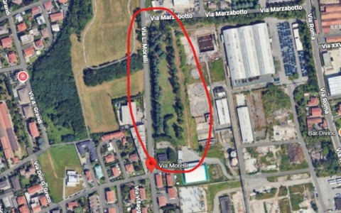 Polo logistico, Legambiente chiede di salvare gli alberi