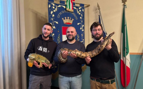 Serpenti, camaleonti e creature straordinarie arrivano a Busto Arsizio!
