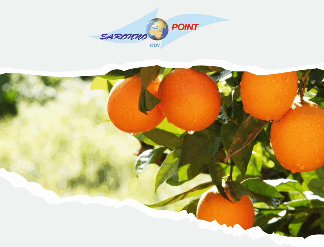 Tornano le arance a sostegno di Saronno point odv