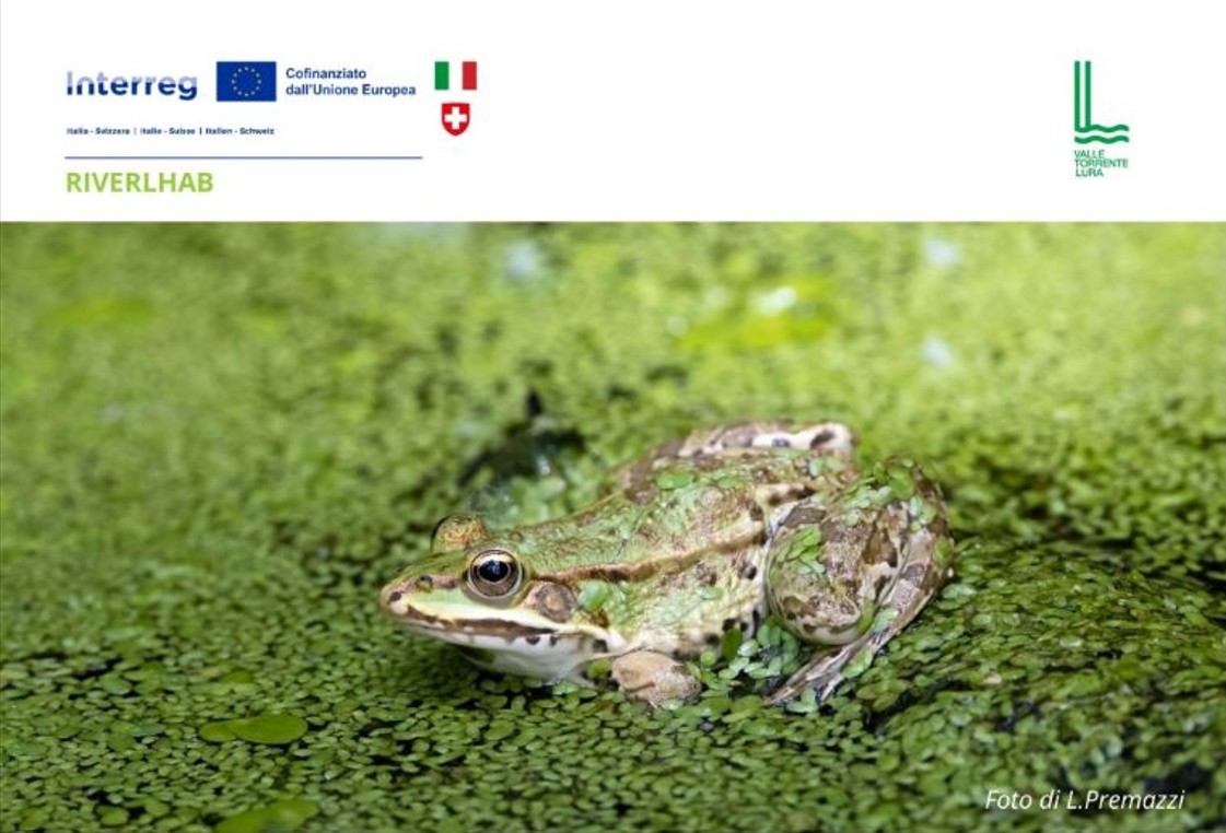 Insieme per gli anfibi