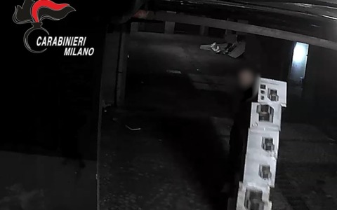 Furti e ricettazione per merce del valore di più di 200mila euro: due arresti