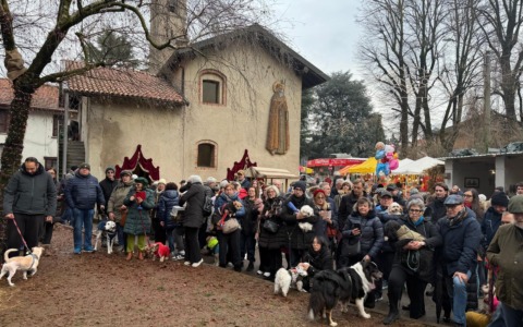 Oggi benedizione di animali e automezzi