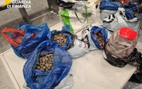 Sequestrati 400 chili di pesce proveniente dalla Cina