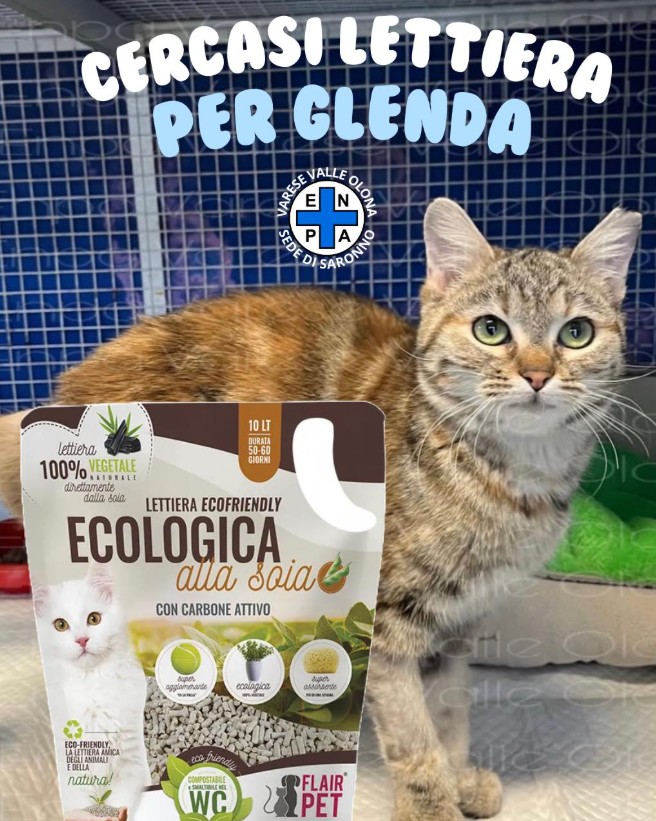 Una sabbietta speciale per aiutare Glenda