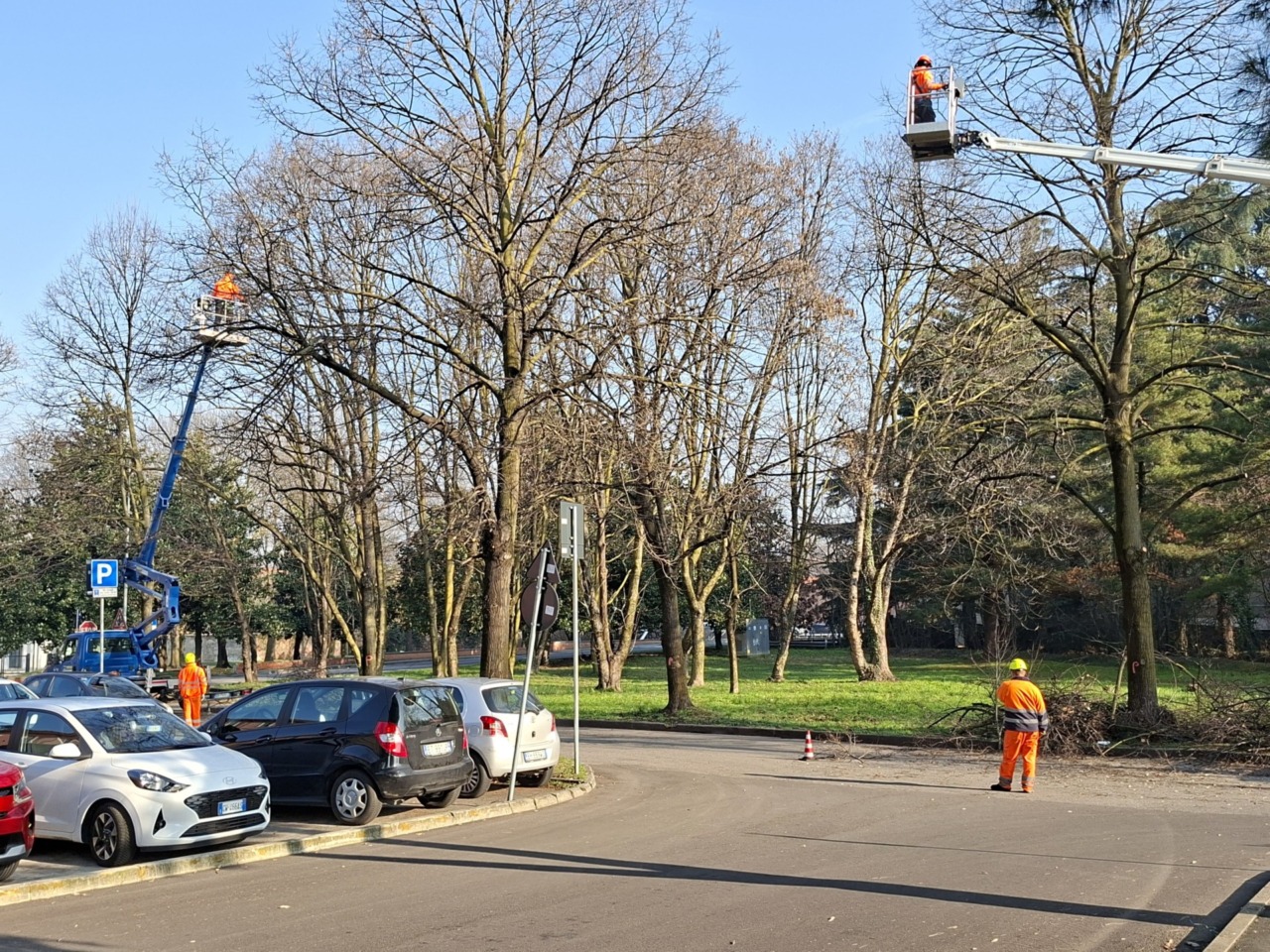 Al via la manutenzione straordinaria del verde
