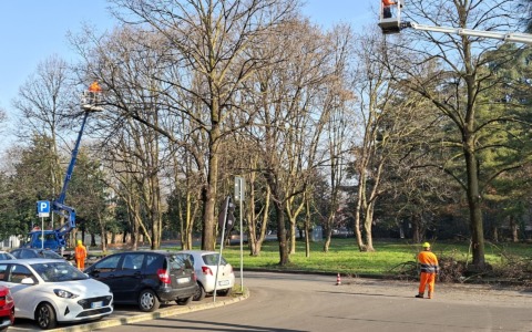 Al via la manutenzione straordinaria del verde