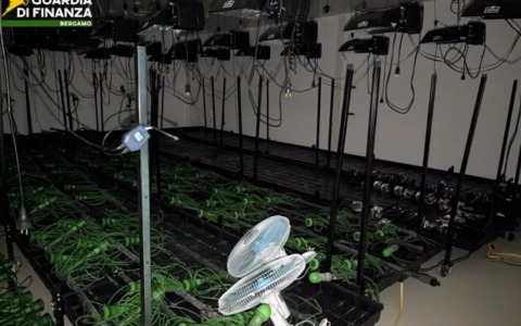 Azienda di cosmetici si trasforma… in una serra per produrre Marijuana