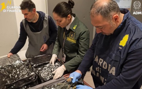 Dagli Stati Uniti con una borsa piena di marijuana: arrestata all’aeroporto di Malpensa