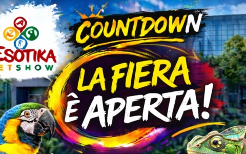 Al via la Fiera degli animali esotici e da compagnia