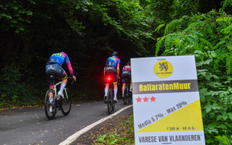 100 giorni alla Varese Van Vlaanderen