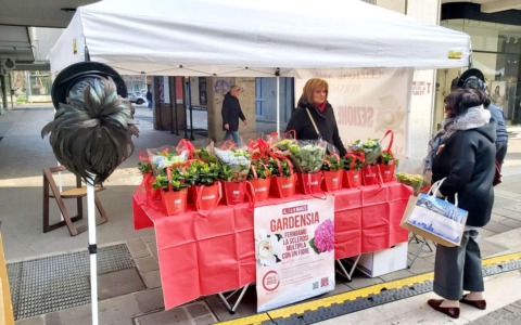 “Gardensia”: Bersaglieri in piazza contro la sclerosi multipa