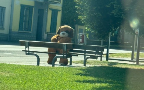 Il mistero del cane peluche gigante abbandonato sulle panchine