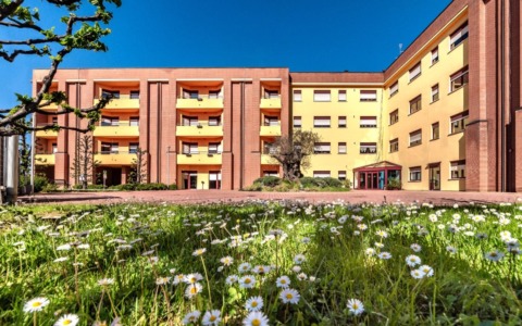 Federico Pirola entra nel CdA di Focris