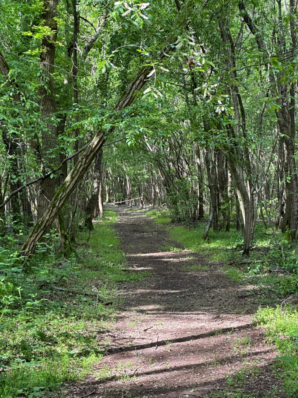A Cascina Leva domenica torna la Mezza dei Boschi