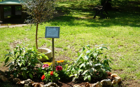 Una targa per ricordare suor Annunciata