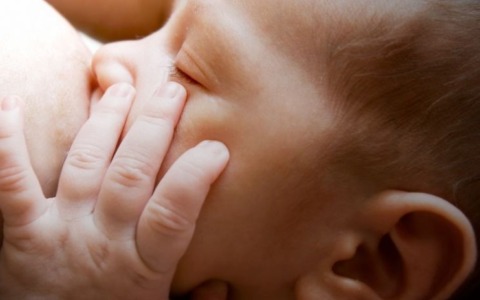 Al via “Nutrimamma”: focus sull’alimentazione nel primo trimestre di gravidanza