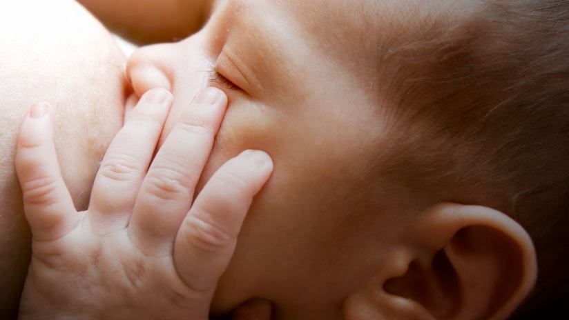 Al via “Nutrimamma”: focus sull’alimentazione nel primo trimestre di gravidanza