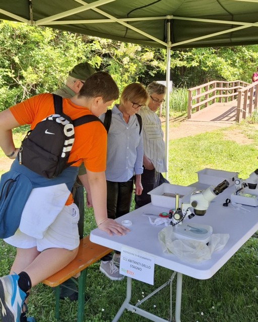 bioblitz festa biodiversità