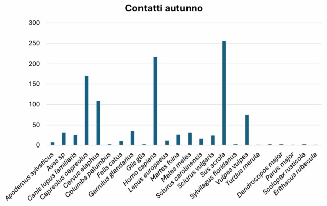 monitoraggio parco pineta ungulati