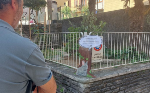 Sagome artistiche ispirate alla natura nel centro di Lomazzo