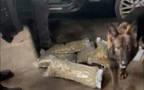 Traffico internazionale di droga, a Saronno sequestrati 20 chili di cocaina