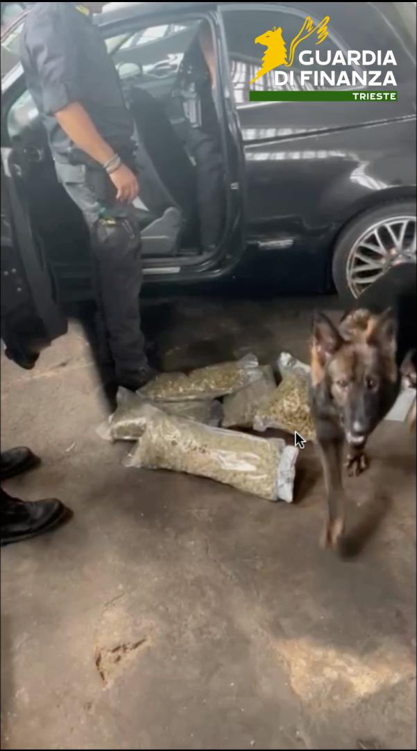 Traffico internazionale di droga, a Saronno sequestrati 20 chili di cocaina