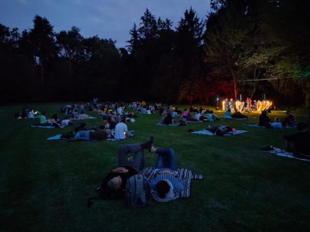 eventi parco pineta