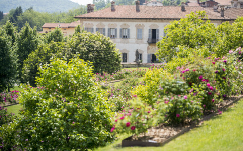 Sere Fai d’estate 2026 a Varese e in provincia