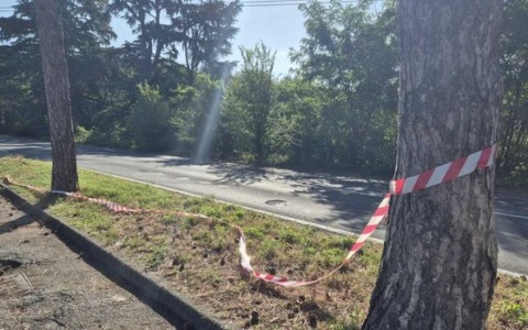 Omicidio di via Piemonte, SìAmo Castellanza chiede più prevenzione e controllo