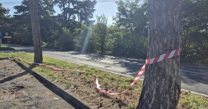 Omicidio di via Piemonte, SìAmo Castellanza chiede più prevenzione e controllo