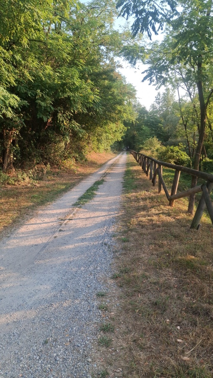 Asfaltatura della ciclopedonale della Valle Olona? Guzzetti chiede lo stop