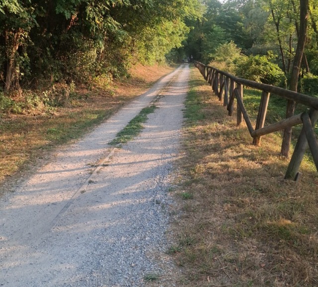 Asfaltatura della ciclopedonale della Valle Olona? Guzzetti chiede lo stop