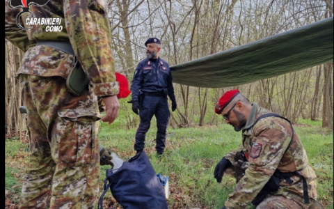 Fino Mornasco, operazione antidroga nei boschi: arrestato 33enne con eroina, cocaina e hashish