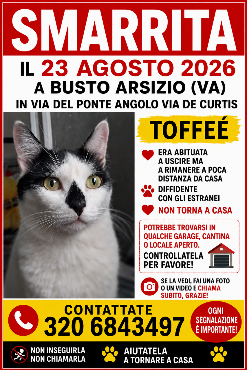 A Busto Arsizio si cerca la gatta Toffée