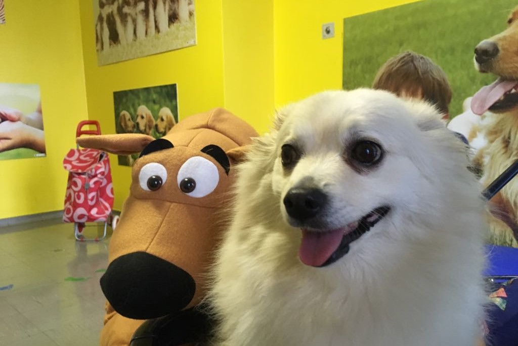 Addio a Simba, la cagnolina che regalava sorrisi ai bambini in ospedale